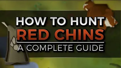 Catching Red Chin Chompas in OSRS: A Complete Guide
