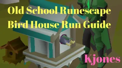 Everything You Need to Know About Bird House Runs in OSRS