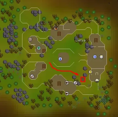 How Many Vine Patches Are There in OSRS?