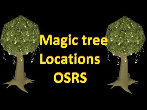 Ultimate Guide to OSRS Evergreen Tree Locations