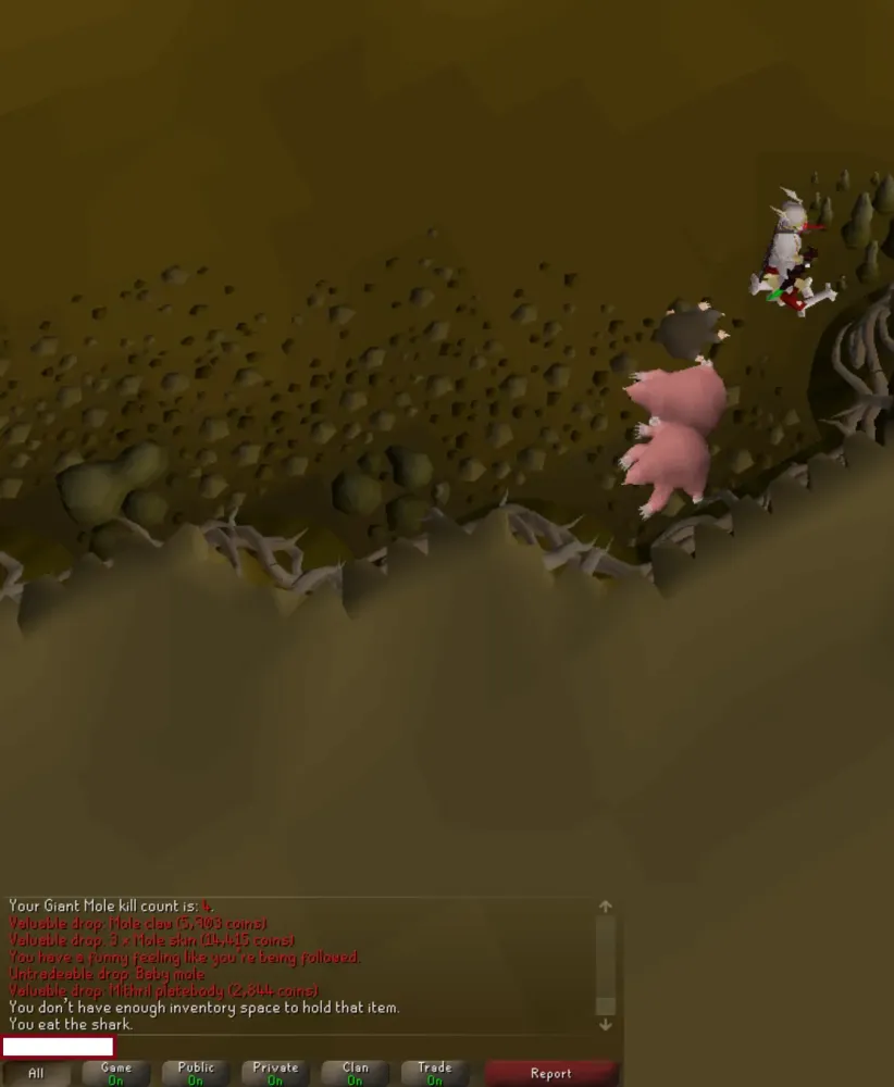 First ever rare drop in OSRS Made all those MLM sessions worth it  r 