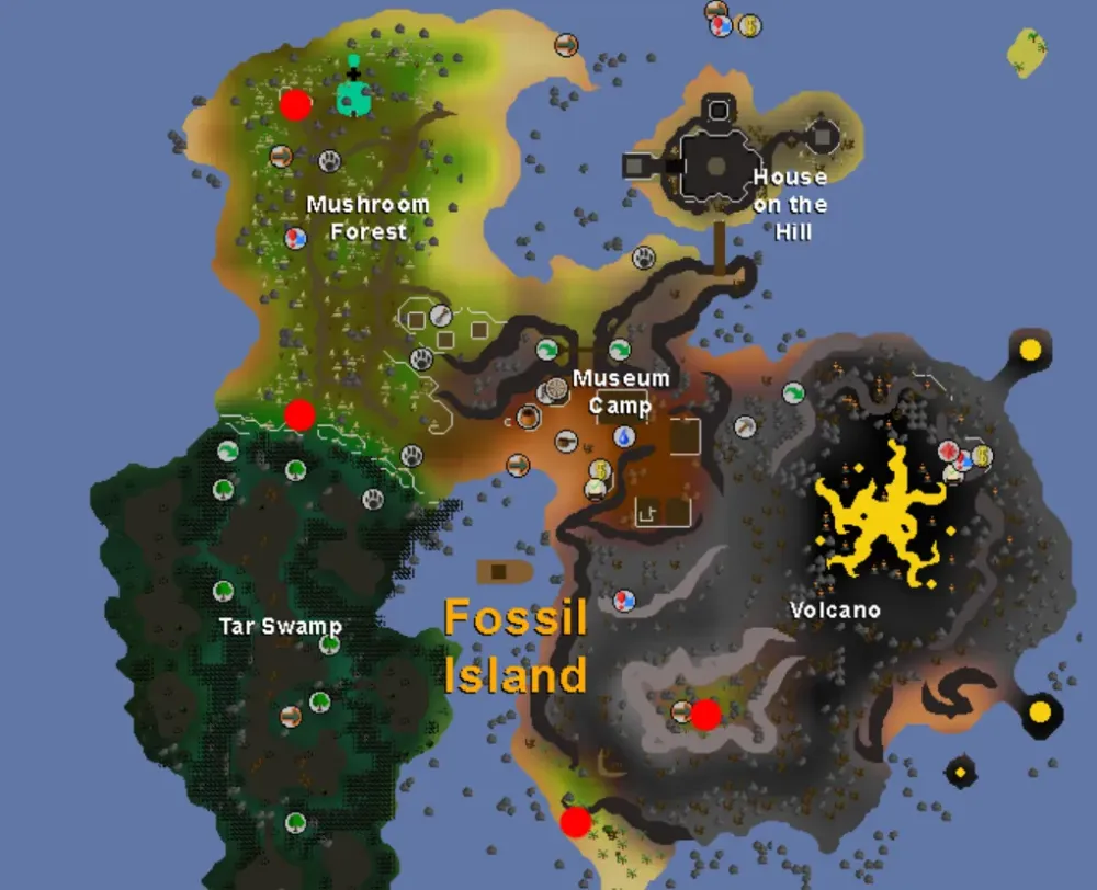 Bird Houses Osrs  Bruin Blog
