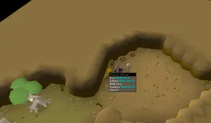 Everything You Need to Know About the OSRS Construction Bank Chest