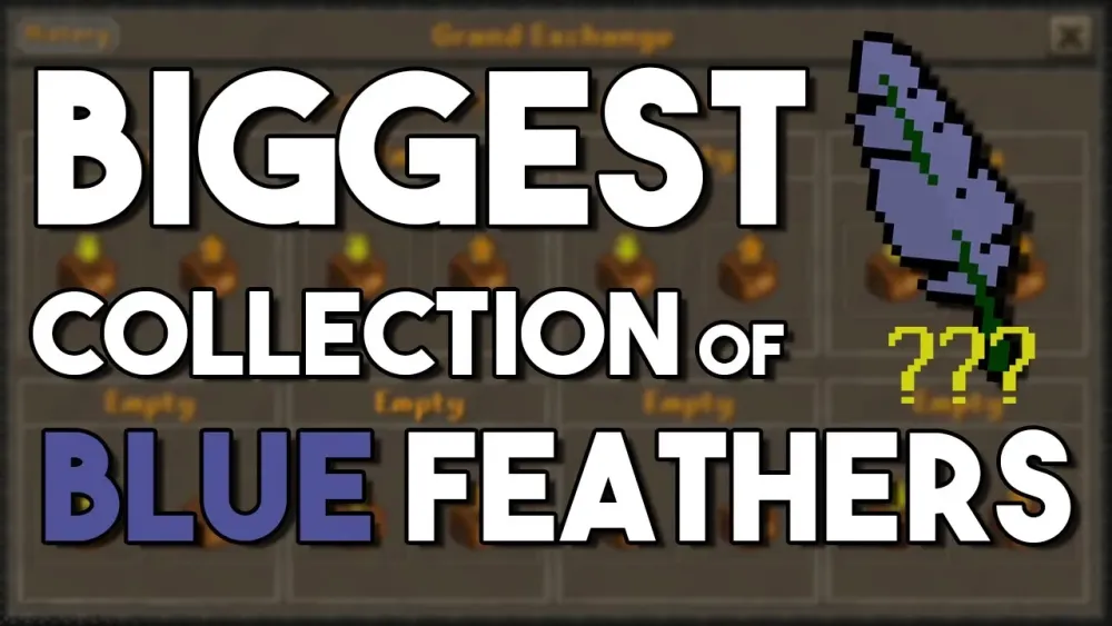 How Big Is My Blue Feather Collection in Oldschool Runescape Who has 