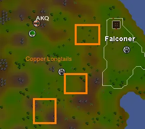 99 Hunting Guide