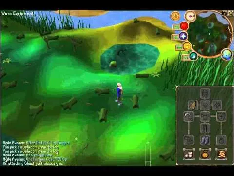 Guide To Making Millions  Mort Myre Fungus P2P  YouTube
