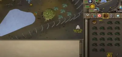 Ultimate Guide to Fishing Dark Crabs in OSRS