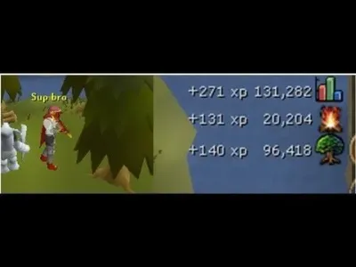 Everything You Need to Know About OSRS Arctic Pine Logs