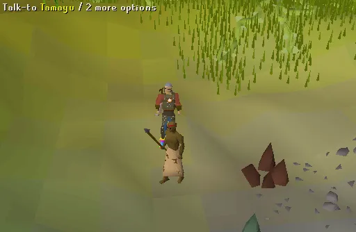 OSRS Tai Bwo Wannai Trio  RuneScape Guide  RuneHQ