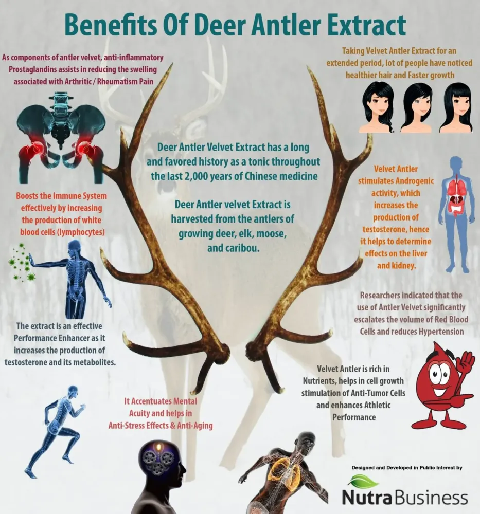 The Benefits of Deer Antler Velvet  ProBLEN