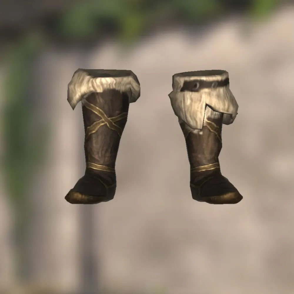 Everything You Need to Know About OSRS Blessed D’hide Boots