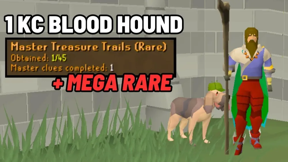 Building The Most Unique OSRS Collection Log  Old School RuneScape 