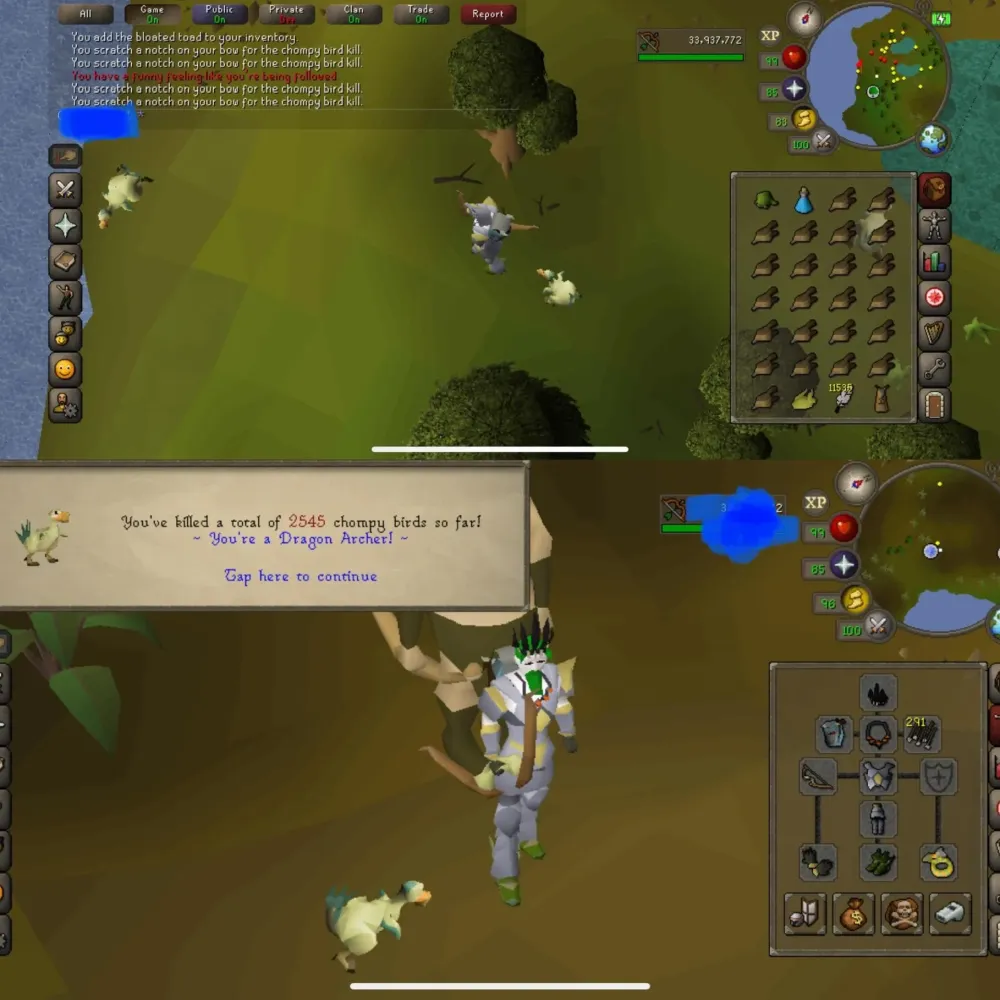 Not a long grind by osrs standards but still happy to finally pick up 