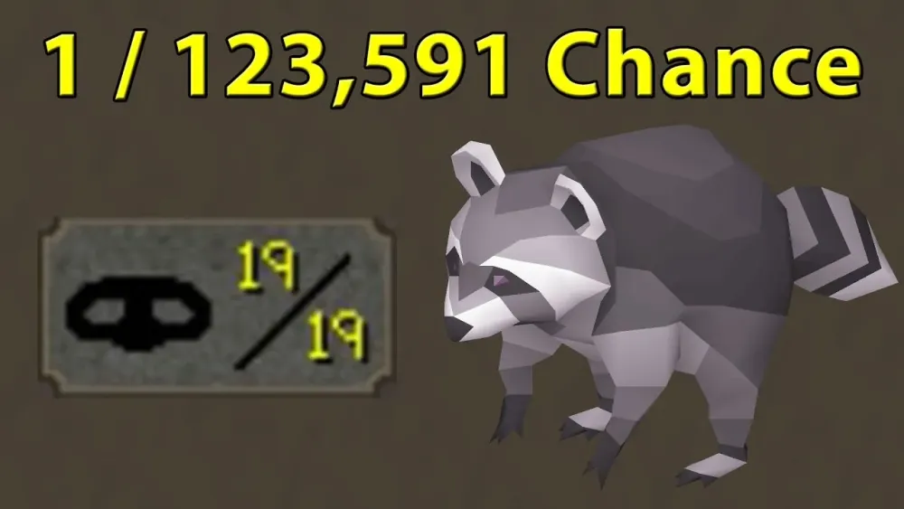 1  123591 Chance  My 1st OSRS Pet  YouTube