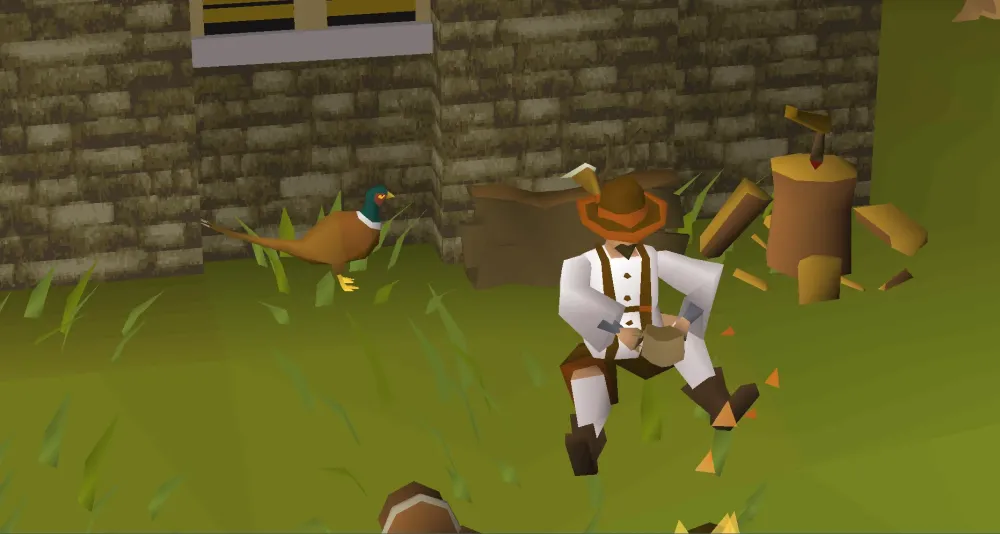 Everything You Need to Know About OSRS Pheasant Tail Feathers