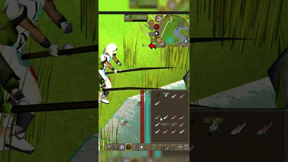 How to efficiently afk fish osrs  YouTube