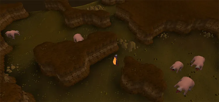 Best Places To Kill Bloodveld In Old School Runescape Fandomspot 