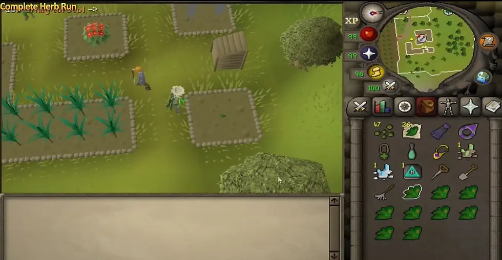 Complete Herb Farming Guide for OSRS  Herb Run Guide