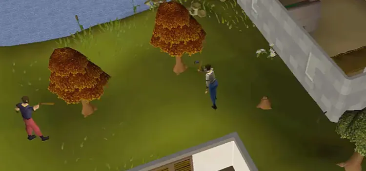 OSRS The Best Ways To Level Up Woodcutting  FandomSpot