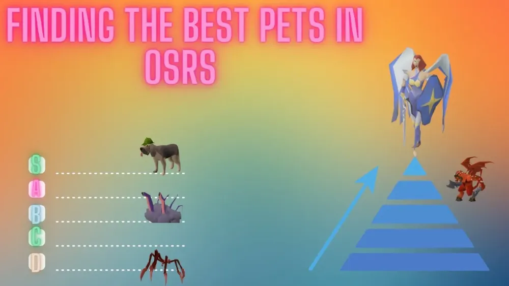 OSRS Pet Tier List The Best  Worst Pets in Old School Runescape  YouTube