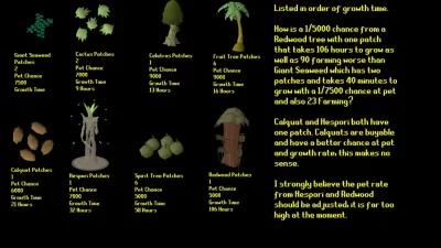 Everything You Need to Know About the Basket of Tomatoes in OSRS