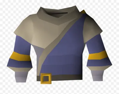 Everything You Need to Know About the OSRS Pink Robe Top