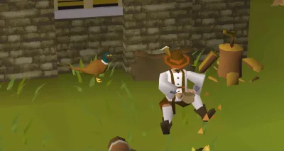 Everything You Need to Know About OSRS Pheasant Tail Feathers