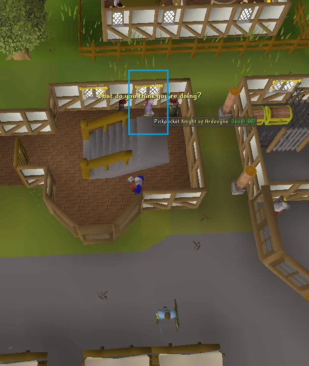 OSRS Thieving Guide  Training From Level 1 to 99