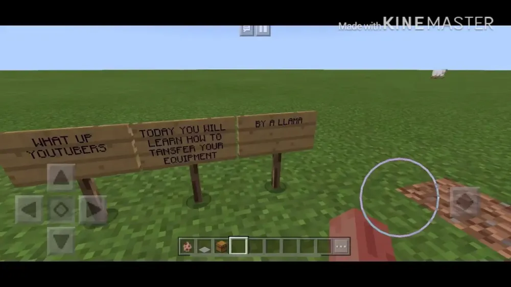 How To Have More Inventory Space  YouTube