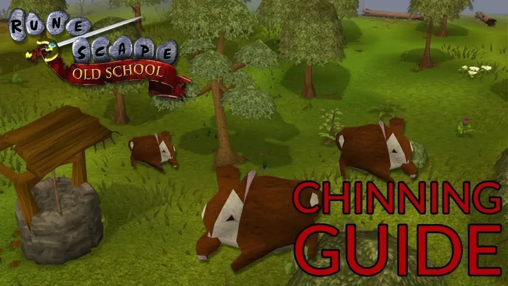 Ultimate Guide to Chinning for OSRS Pures
