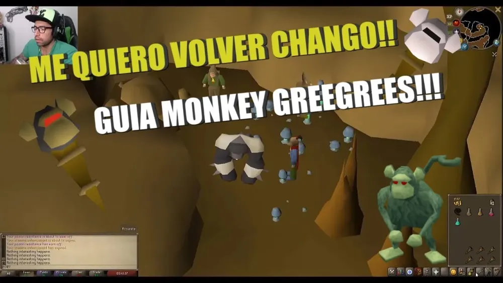 How to Obtain the Ninja Greegree in OSRS