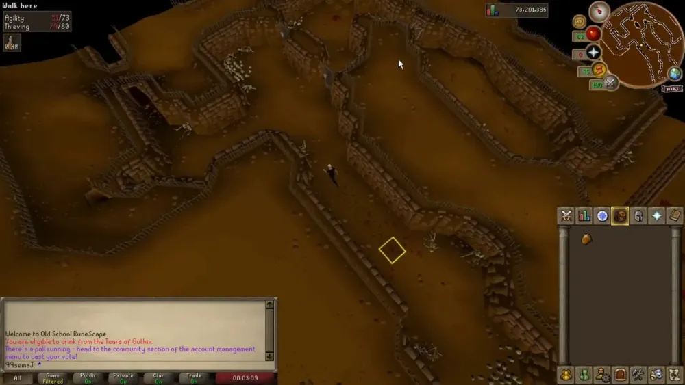 Everything You Need to Know About OSRS Rogue’s Outfit