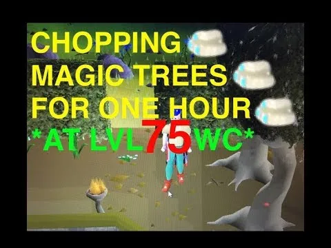 Discovering the Best Places to Chop Magic Trees in OSRS