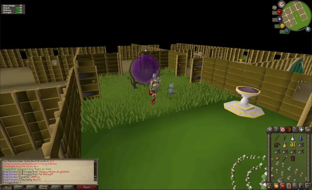 pet Thermy 261 kc First osrs pet ever  rironscape