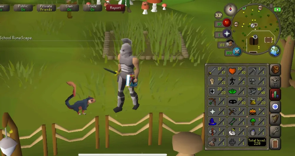 Understanding the Challenges of Dying with Your Pet in OSRS