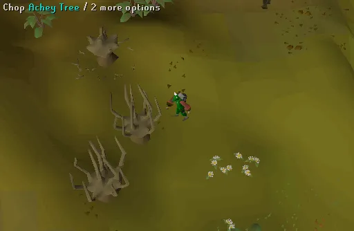 Ultimate Guide to Hunting Chompy Birds in OSRS