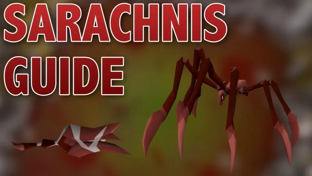 OSRS Sarachnis Guide  Easy Kills  Noob Friendly  YouTube