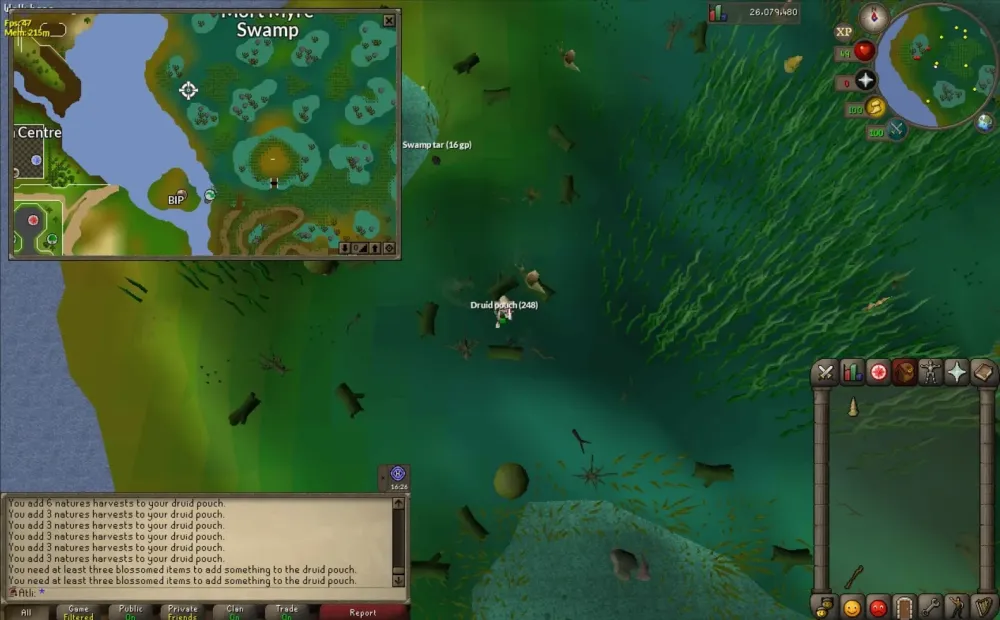 Fastest way to charge druidic pouch  rironscape