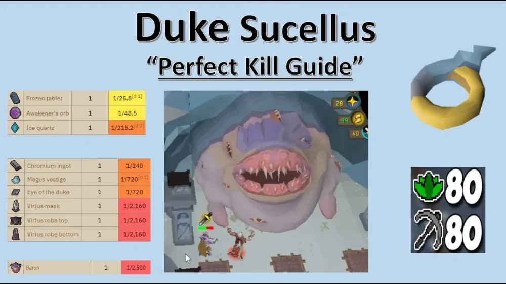 OSRS 2024 Duke Sucellus Perfect Kill Guide  1 Defence Pure  EASY 