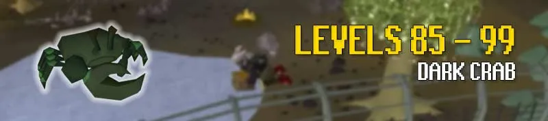 Everything You Need to Know About Dark Crab Fishing in OSRS