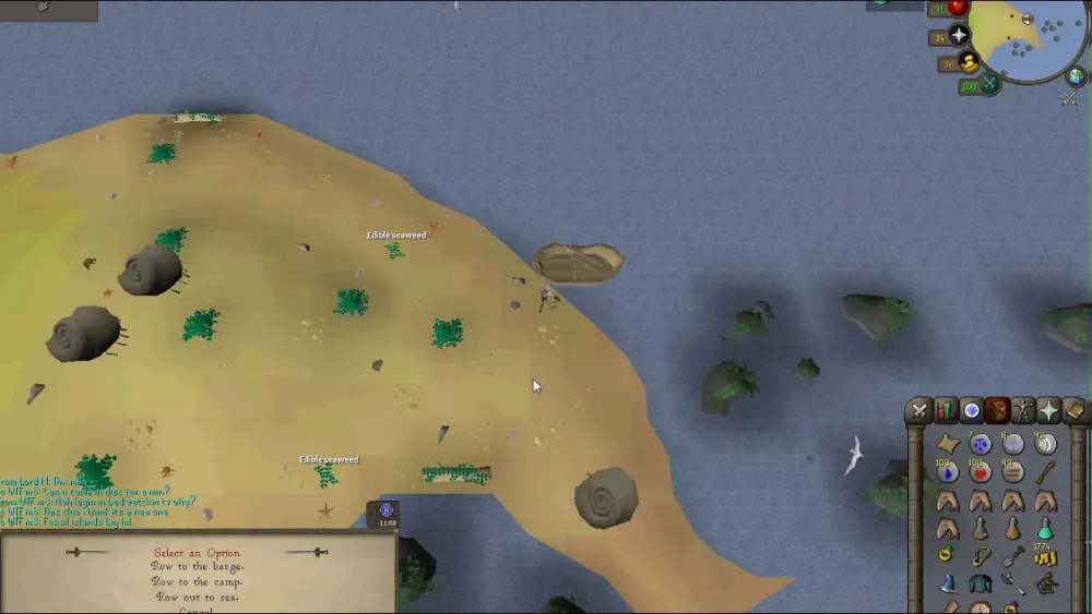 Osrs New Fossil Island Clue 23 degrees 00 minutes North 41 degrees 33 