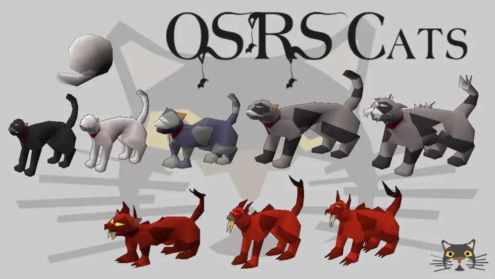OSRS Guide On Cats  HousePetsCarecom