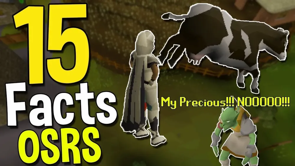 Top 15 Facts You Might Not Know About OSRS Oldschool Runescape Facts 