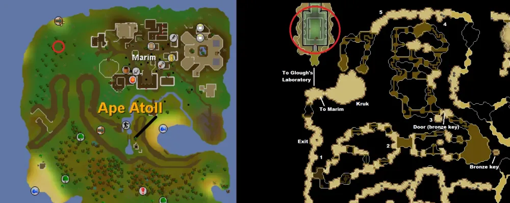 Ultimate Guide to Training Hunter from Level 1 to 99 in OSRS