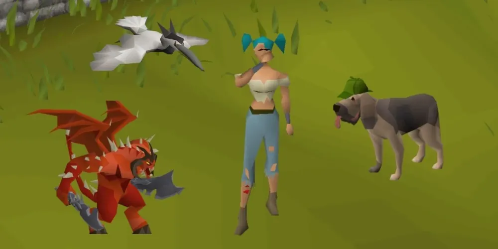 How to Get Your Pet Back in OSRS