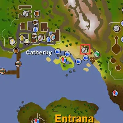 Everything You Need to Know About OSRS Fruit Tree Patches