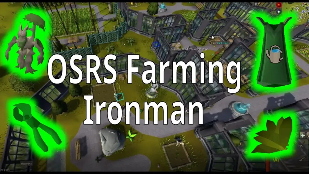 OSRS Farming Run Guide  Oldschool Runescape  YouTube