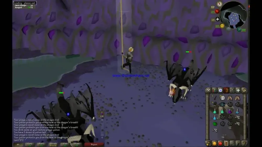 OSRS 99 Brutal Black Dragon Kills AND LOOT  YouTube