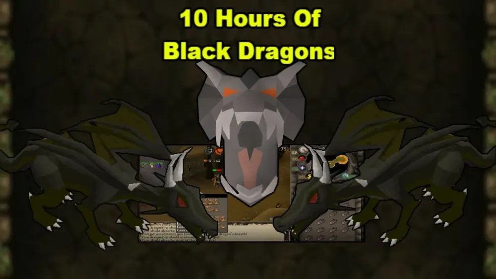 Oldschool Runescape  Loot from 10 hours of Killing Black Dragons is 