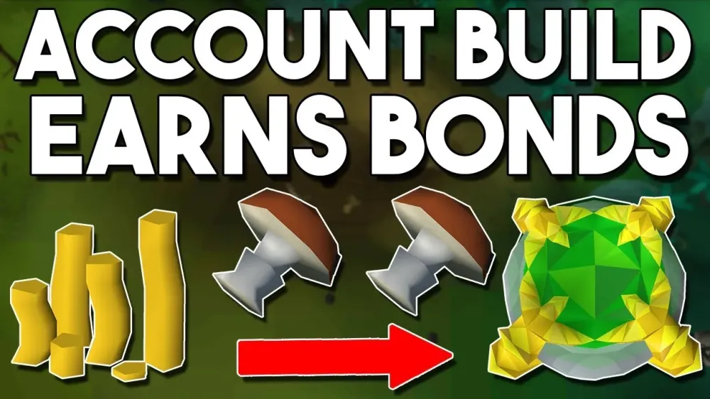 How to Build an Account in 6 Hours that Earns Bonds P2P Creating an 
